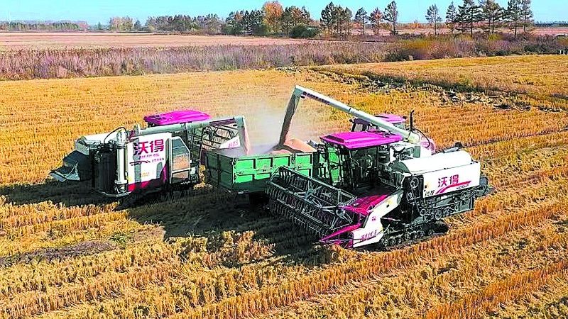 東北林區(qū)專用彌霧機(jī)：如何挑選性能卓越的守護(hù)者